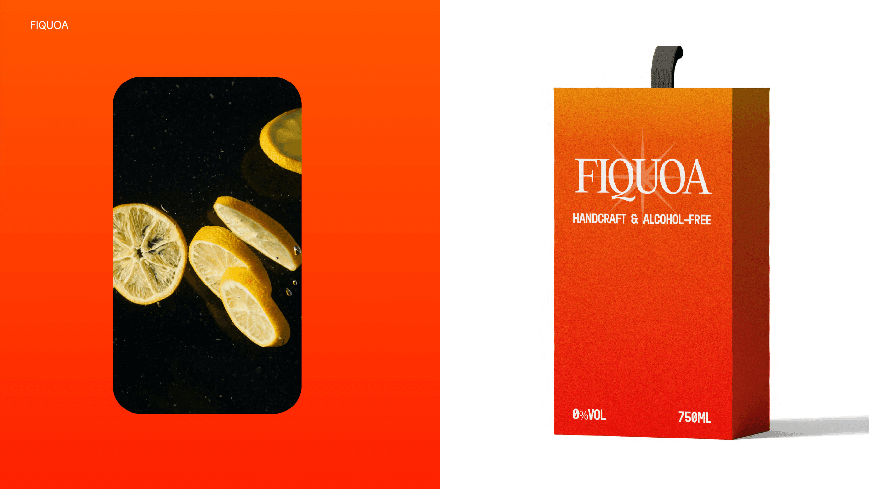 Fiquoa, visuel 4