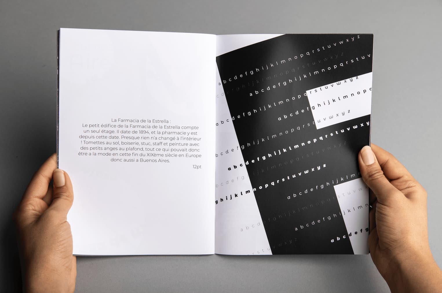 Typographic Specimen — visuel 9