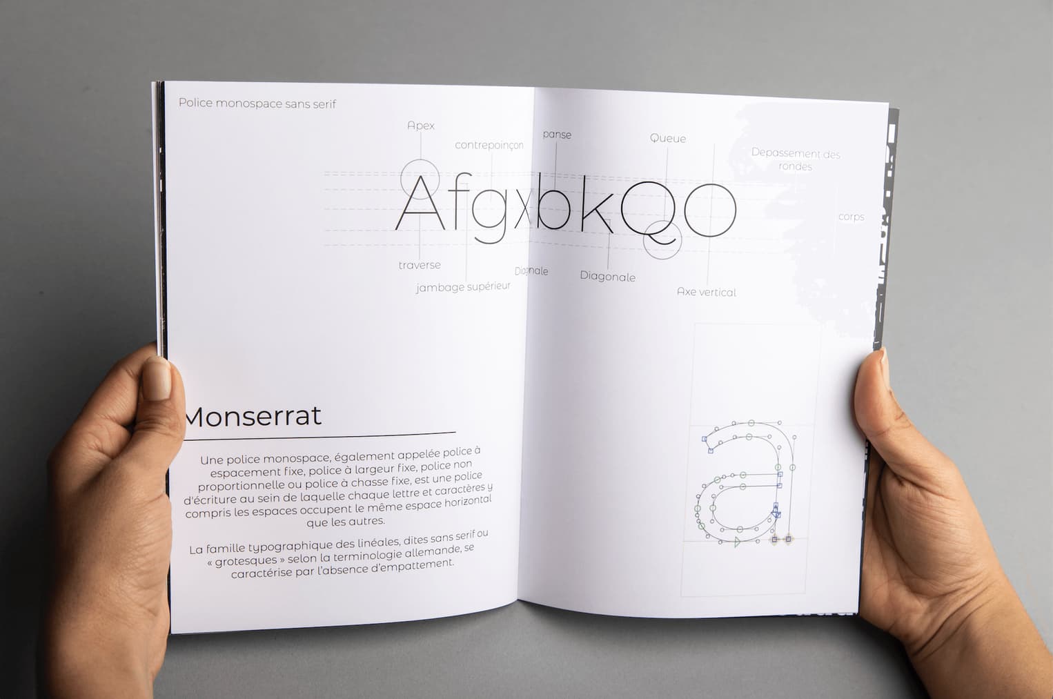 Typographic Specimen — visuel 12