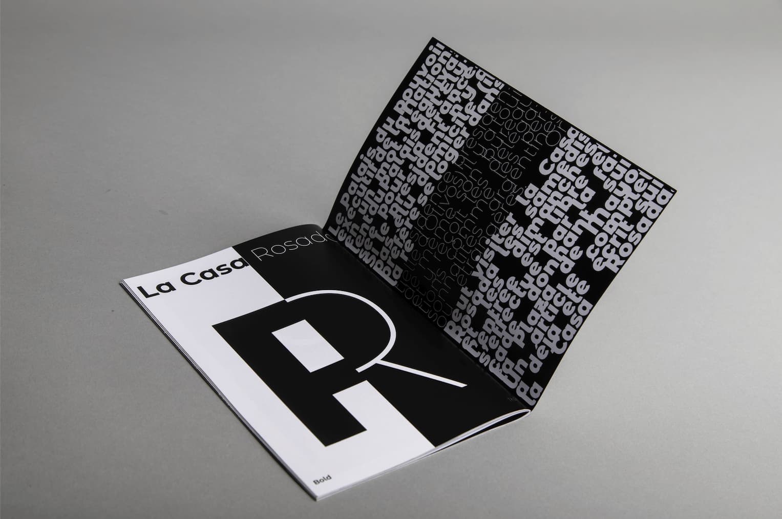 Typographic Specimen — visuel 8